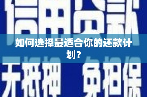 上林如何选择最适合你的还款计划？