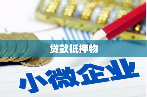 上林贷款抵押物