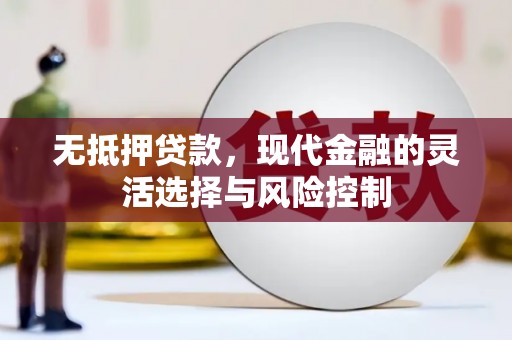 上林无抵押贷款，现代金融的灵活选择与风险控制