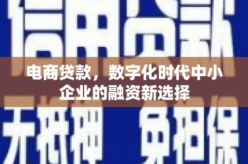 上林电商贷款，数字化时代中小企业的融资新选择