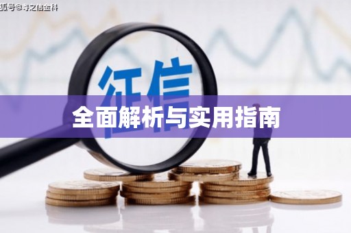 上林全面解析与实用指南