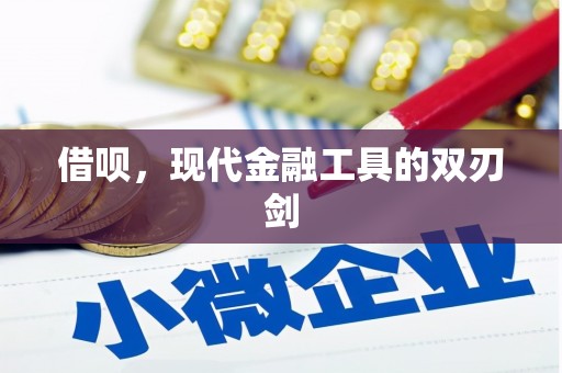 上林借呗，现代金融工具的双刃剑