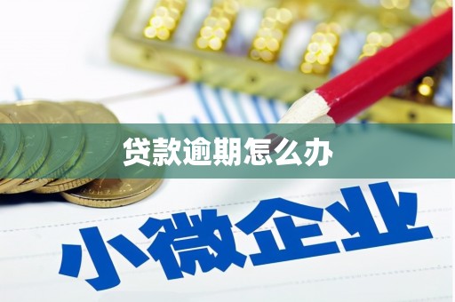 上林贷款逾期怎么办
