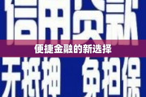 上林便捷金融的新选择