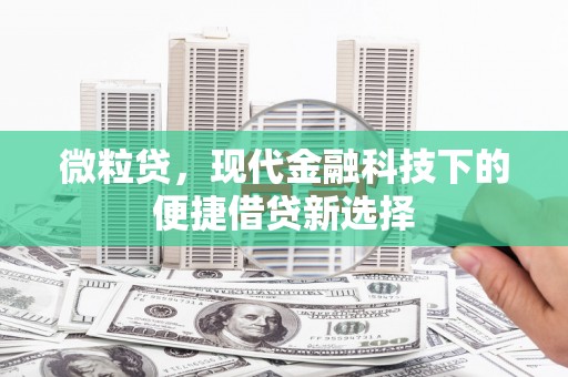 上林微粒贷，现代金融科技下的便捷借贷新选择