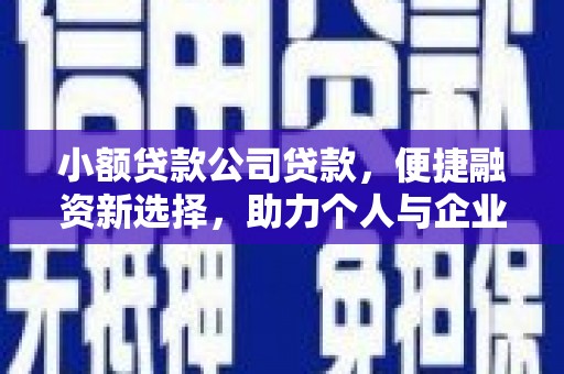 上林小额贷款公司贷款，便捷融资新选择，助力个人与企业成长