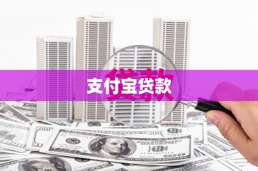 上林支付宝贷款