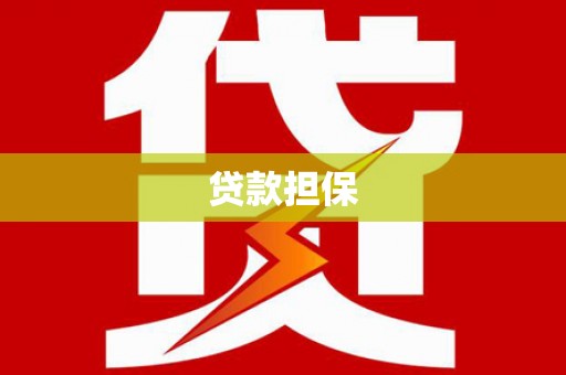 上林贷款担保