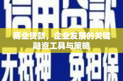 上林商业贷款，企业发展的关键融资工具与策略