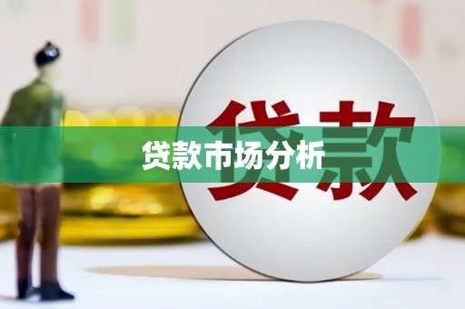 上林贷款市场分析