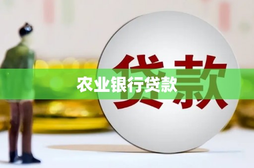 上林农业银行贷款