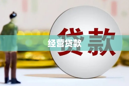 上林经营贷款