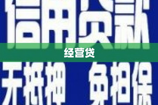上林经营贷