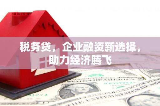 上林税务贷，企业融资新选择，助力经济腾飞