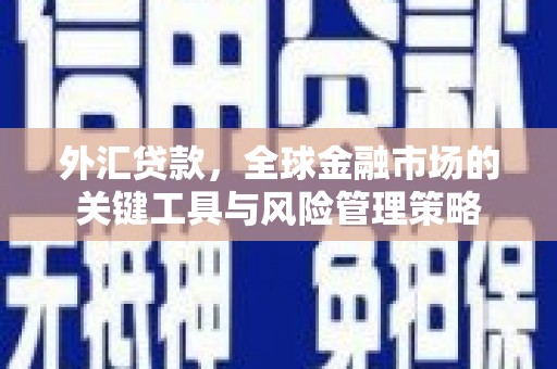 上林外汇贷款，全球金融市场的关键工具与风险管理策略