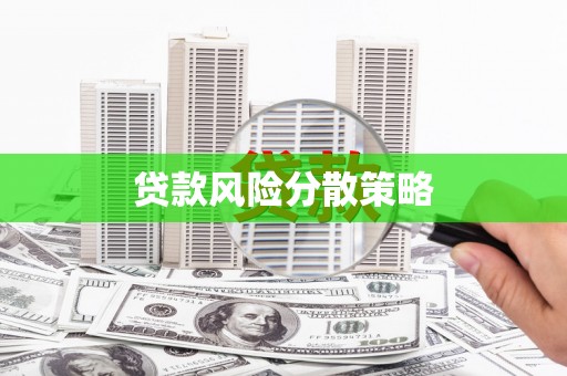 上林贷款风险分散策略