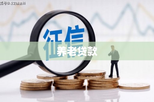 上林养老贷款