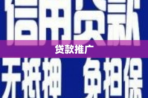 上林贷款推广