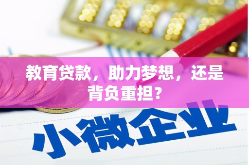 上林教育贷款，助力梦想，还是背负重担？