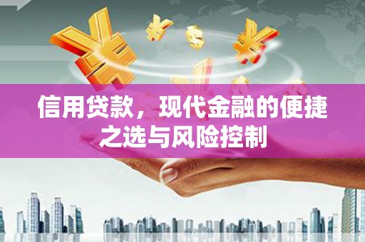 上林信用贷款，现代金融的便捷之选与风险控制