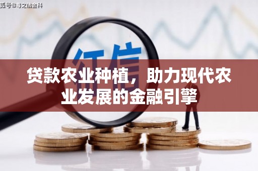 上林贷款农业种植，助力现代农业发展的金融引擎