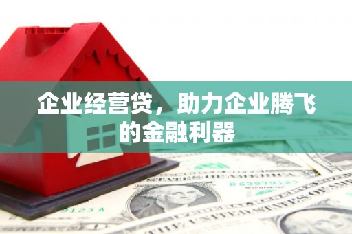 上林企业经营贷，助力企业腾飞的金融利器