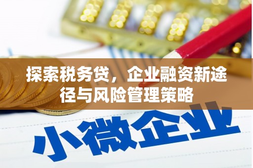 上林探索税务贷，企业融资新途径与风险管理策略