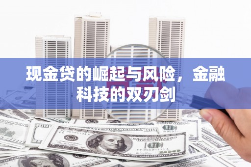 上林现金贷的崛起与风险，金融科技的双刃剑
