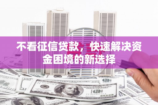 上林不看征信贷款，快速解决资金困境的新选择