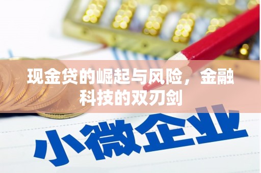 上林现金贷的崛起与风险，金融科技的双刃剑