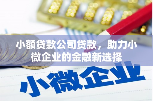 上林小额贷款公司贷款，助力小微企业的金融新选择