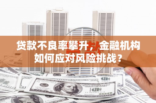 上林贷款不良率攀升，金融机构如何应对风险挑战？
