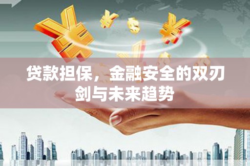 上林贷款担保，金融安全的双刃剑与未来趋势