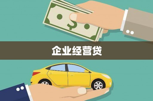 上林企业经营贷