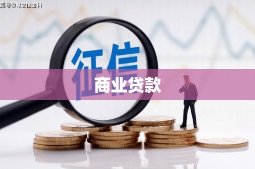 上林商业贷款