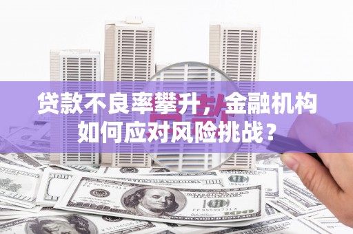 上林贷款不良率攀升，金融机构如何应对风险挑战？