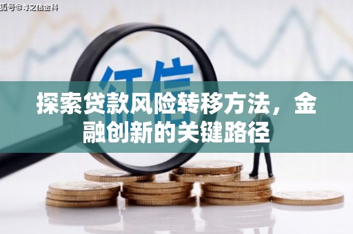 上林探索贷款风险转移方法，金融创新的关键路径