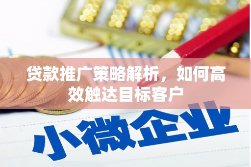 上林贷款推广策略解析，如何高效触达目标客户