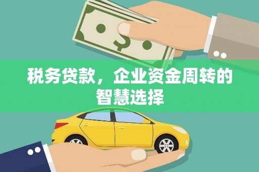 上林税务贷款，企业资金周转的智慧选择