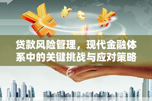 上林贷款风险管理，现代金融体系中的关键挑战与应对策略