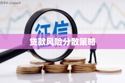 上林贷款风险分散策略