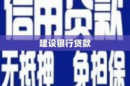上林建设银行贷款