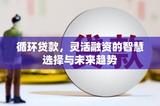 上林循环贷款，灵活融资的智慧选择与未来趋势
