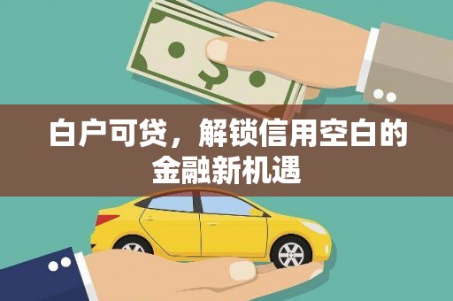 上林白户可贷，解锁信用空白的金融新机遇