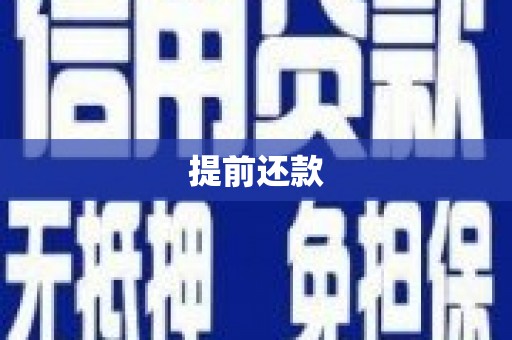 上林提前还款