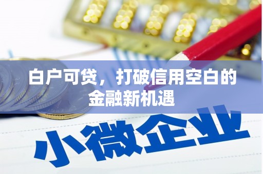 上林白户可贷，打破信用空白的金融新机遇