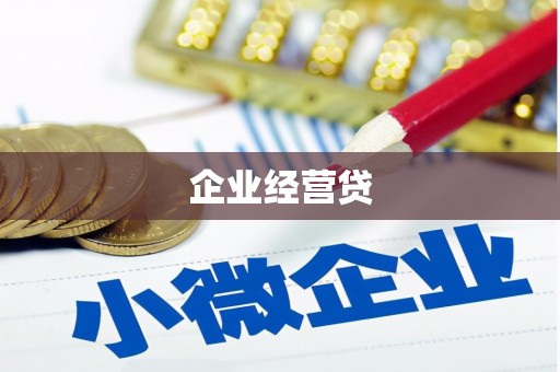 上林企业经营贷