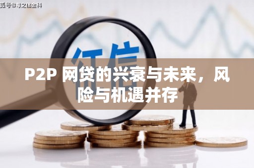 上林P2P 网贷的兴衰与未来，风险与机遇并存