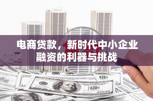 上林电商贷款，新时代中小企业融资的利器与挑战