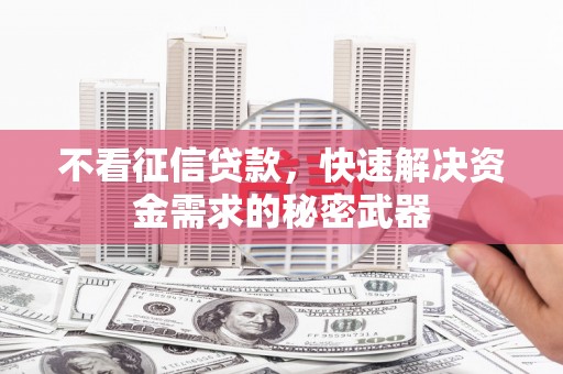 上林不看征信贷款，快速解决资金需求的秘密武器